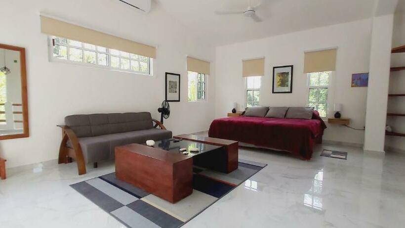 New! Casa Xola Cenote And Fauna Loft
