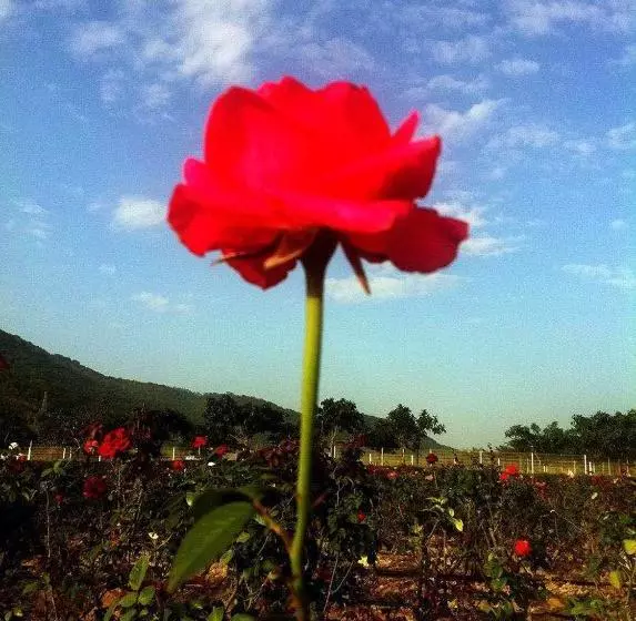 호텔 Yalong Bay Sanya Farinn