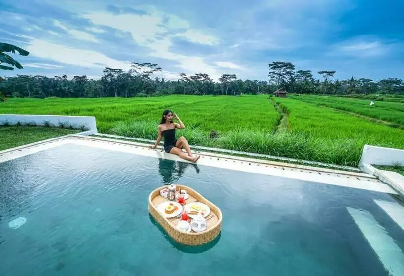 2 Br Villa With Open View Of Rice Paddies & Sunset