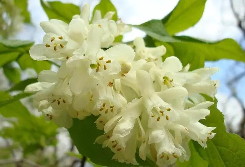 Cozy&stylish Jonjoli