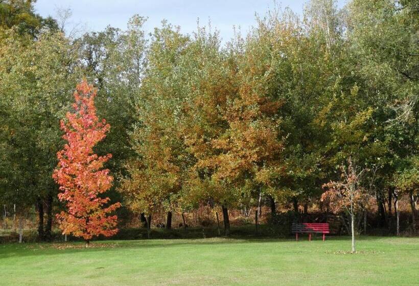 L Escale Sud Gironde   Gîte En Pleine Nature   Calme Absolu   Piscine   Petit Déjeuner Sur Demande