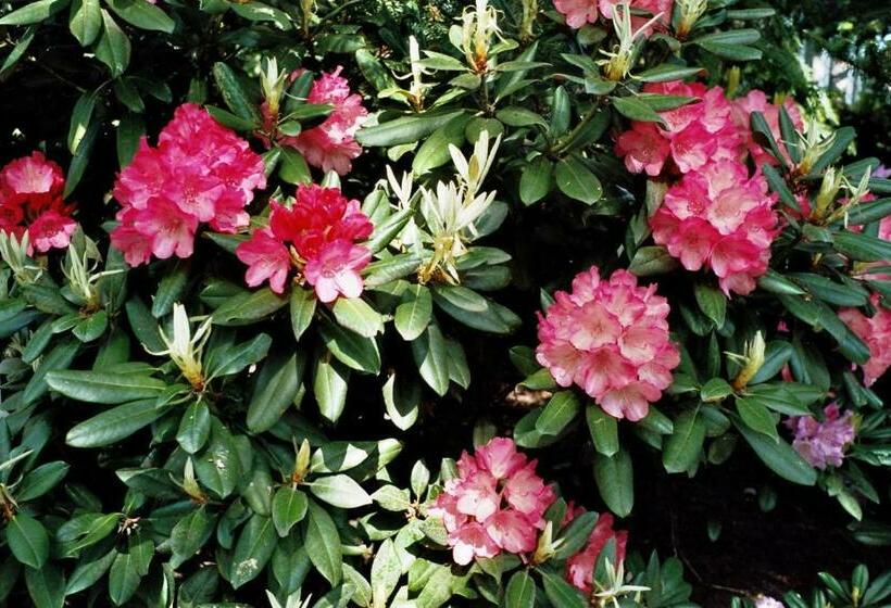 Appartementhaus Dr Domberg Wohnung 4