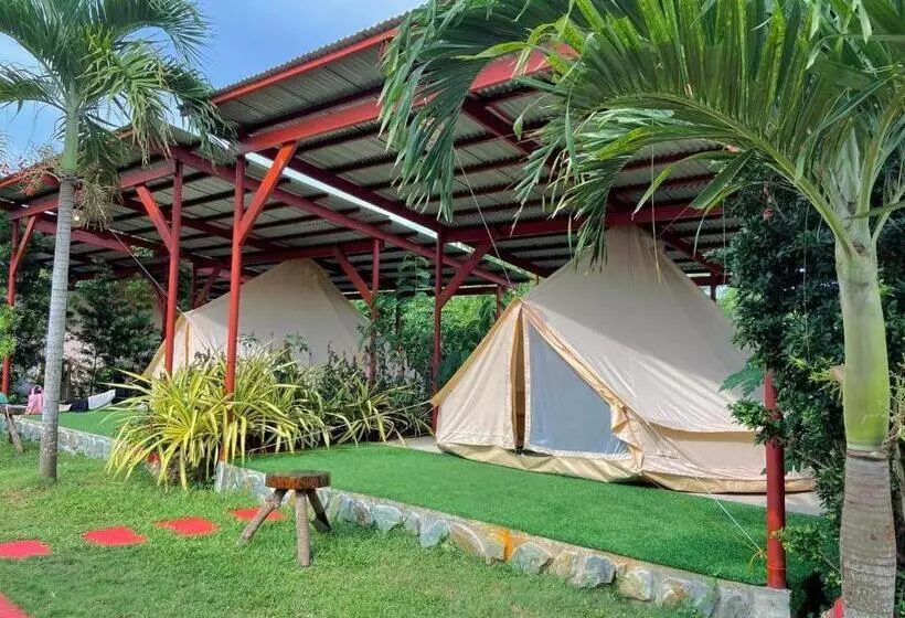 Glamping Alona