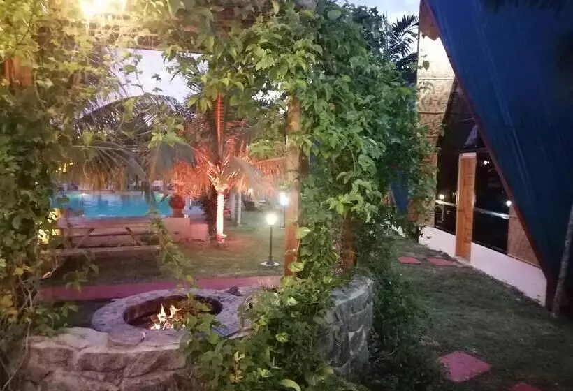Glamping Alona