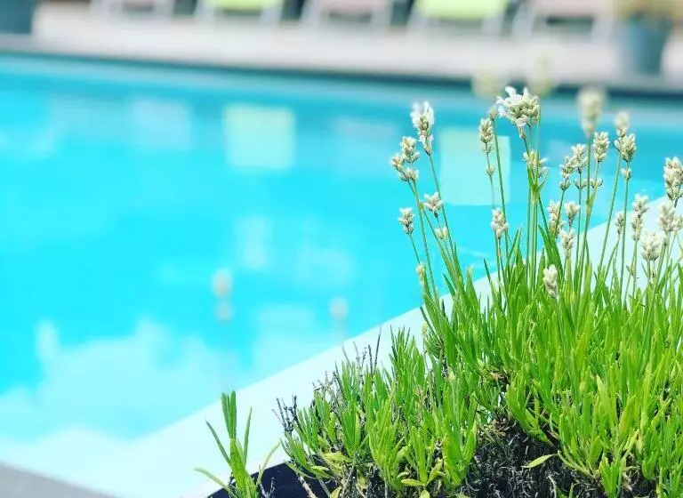 Juste à Côté, Maison De Caractère Avec Piscine