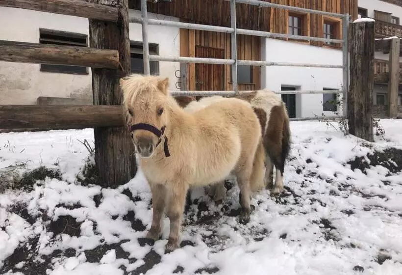 Appartement Adamhof Spielberg