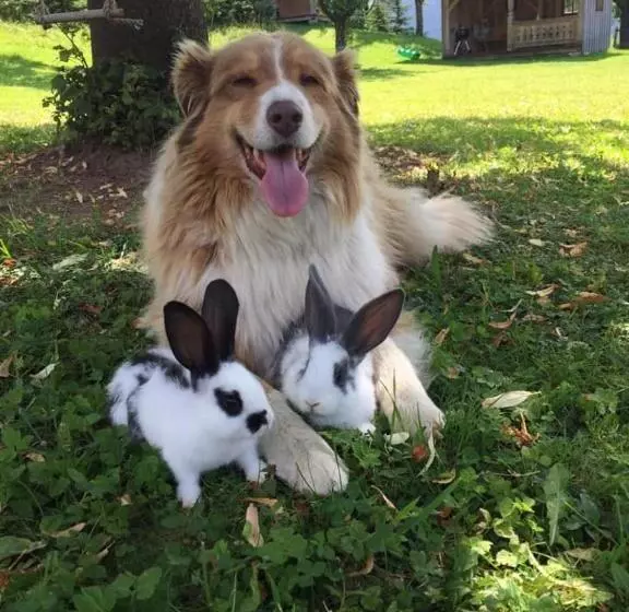 Appartement Adamhof Spielberg