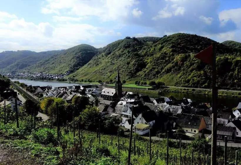 Ferienhaus Erich Bremm Mit Moselblick