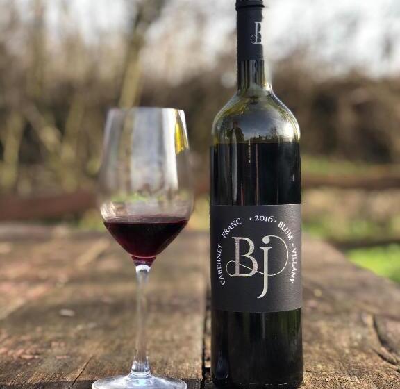 בית מלון כפרי Blum Pince   Borozó Vendégház