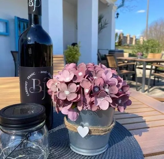 酒店 Blum Pince Borozó Vendégház