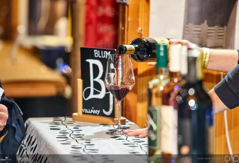 酒店 Blum Pince Borozó Vendégház