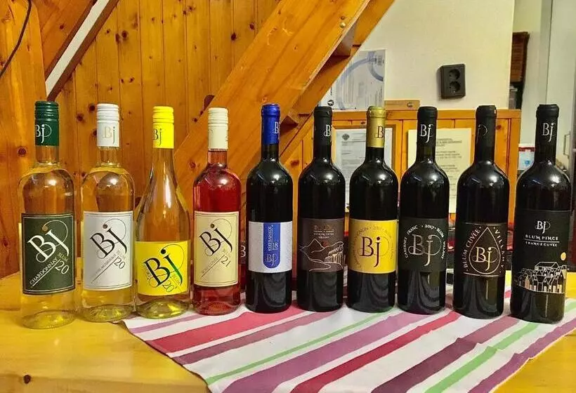 酒店 Blum Pince Borozó Vendégház