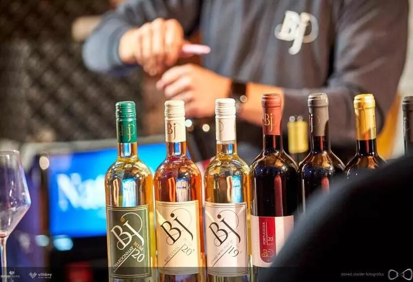 酒店 Blum Pince Borozó Vendégház