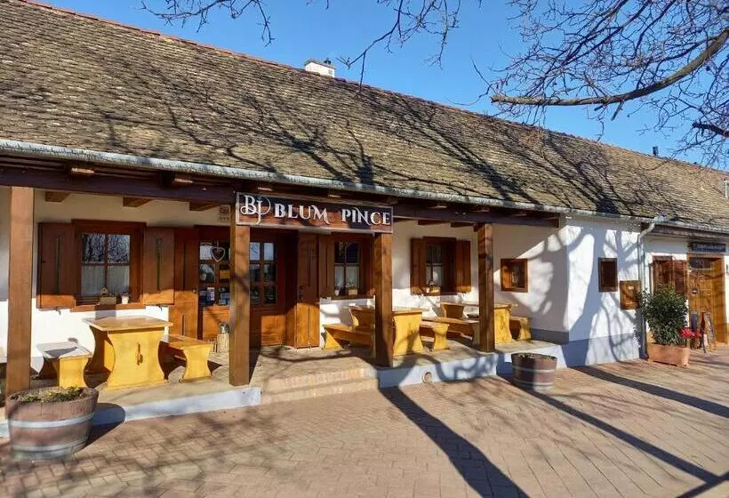 酒店 Blum Pince Borozó Vendégház