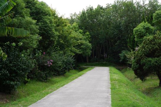 Donghu Service Apartment