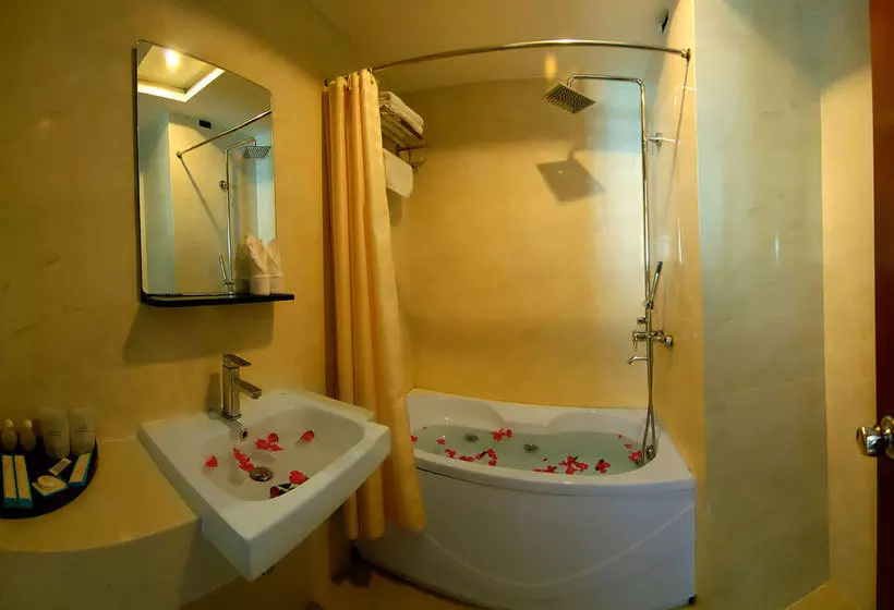 هتل Fansipan Danang