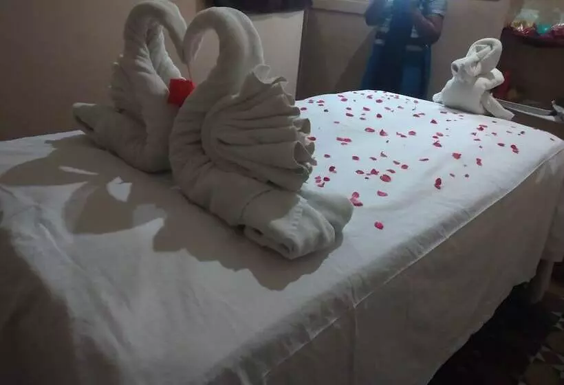 Hôtel Ams Raj Palace Sundar