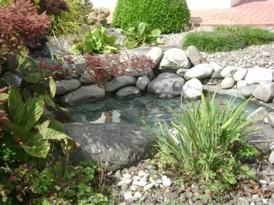 St. Anthony's Lodge Bed & Breakfast