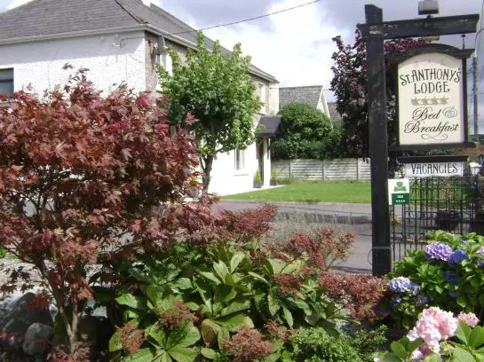 St. Anthony's Lodge Bed & Breakfast