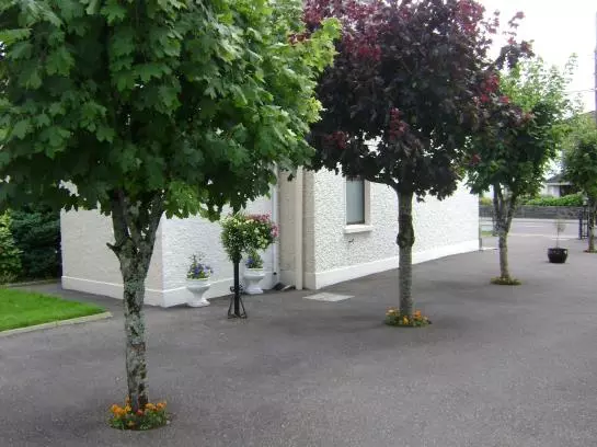 St. Anthony's Lodge Bed & Breakfast