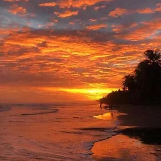 Отель Tranquilidad Resort