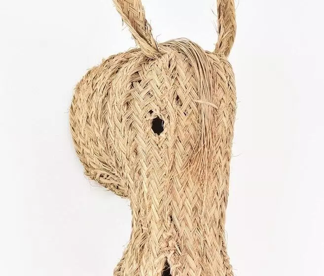 Hotelli 7escalones Apartamentos Boutique