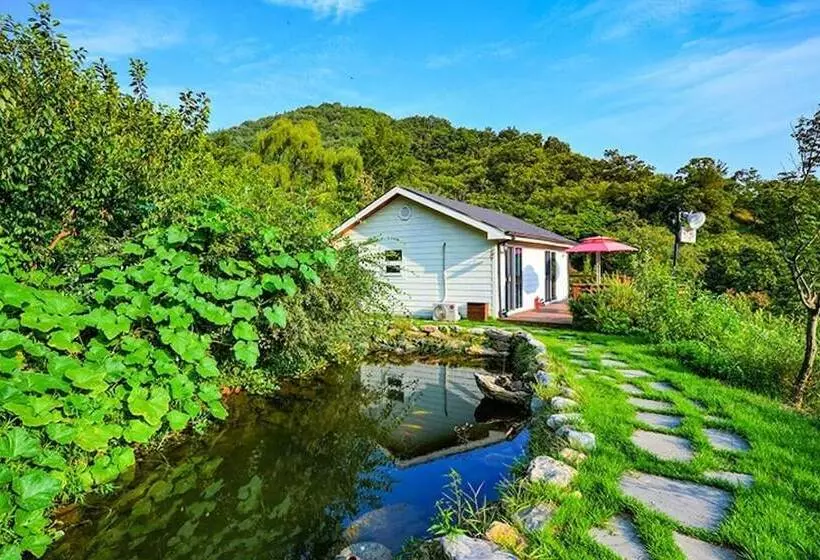 ホテル Gurye Seomjingang Panorama Pension