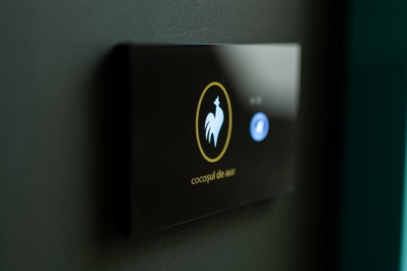 ホテル Cocosul De Aur