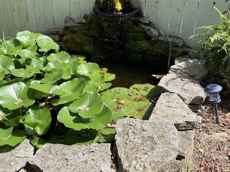 Отель Carriage Lane Inn