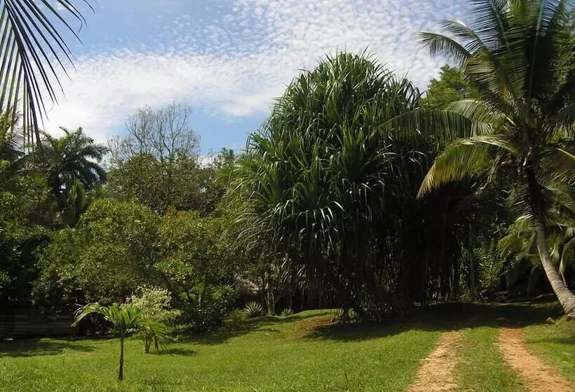 هتل Suital Lodge