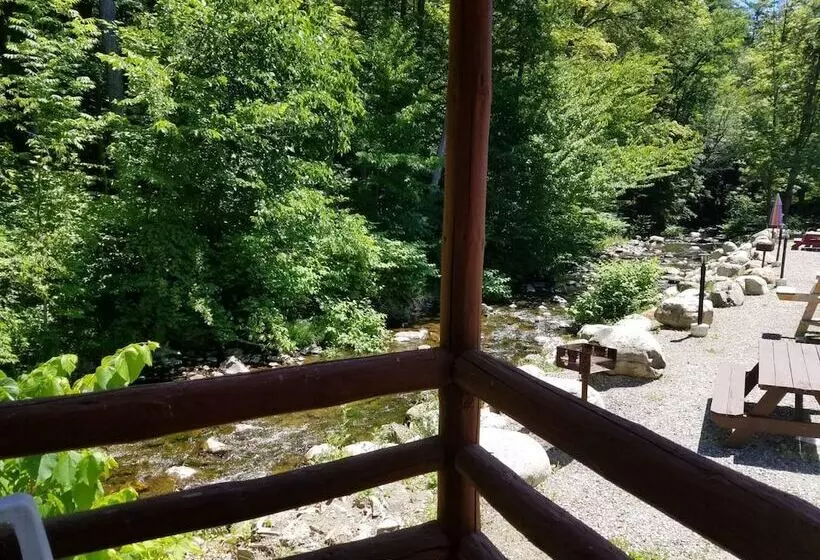 Seven Dwarfs Motel & Cabins