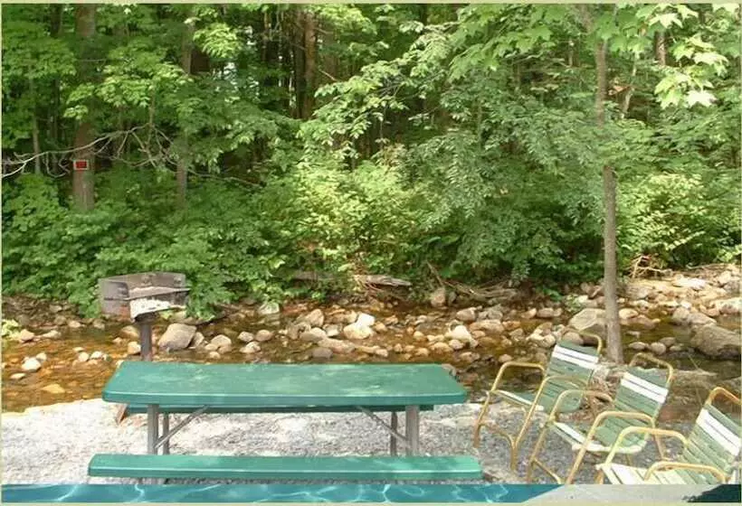 Seven Dwarfs Motel & Cabins