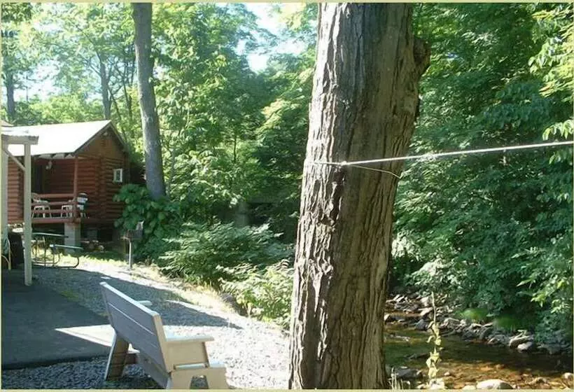 Seven Dwarfs Motel & Cabins