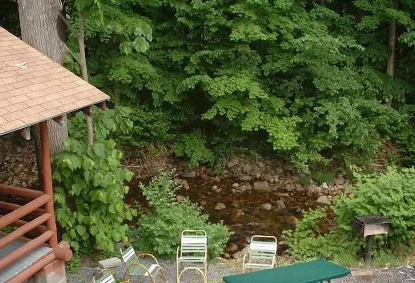 Seven Dwarfs Motel & Cabins