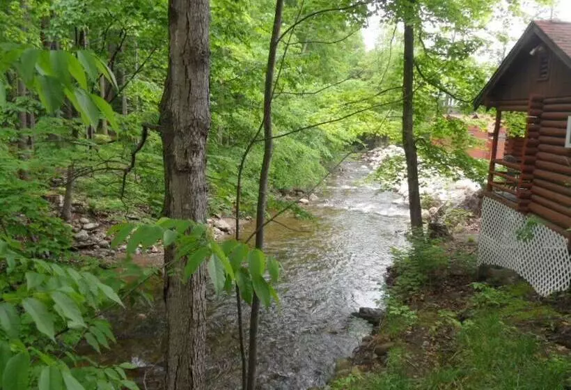 Seven Dwarfs Motel & Cabins