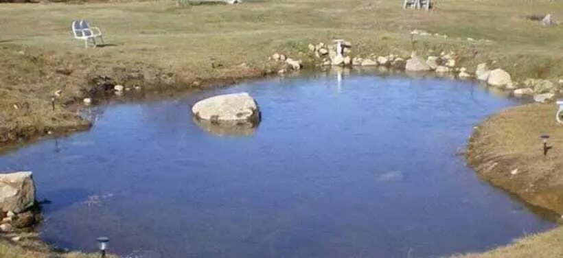 Hotelli Alynn S Butterfly Inn Bed & Breakfast