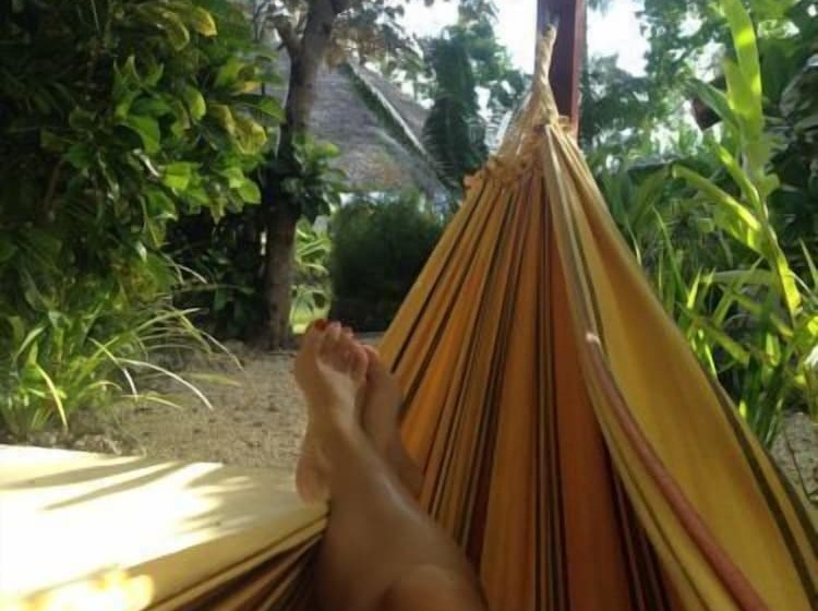 Hotel Ripples On The Bay   Adults Only