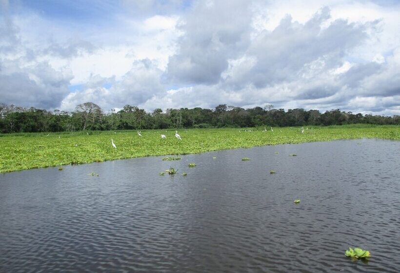 Hotel Curassow Amazon Lodge