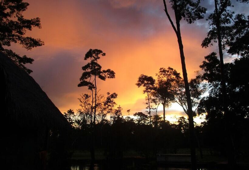 Hotel Curassow Amazon Lodge