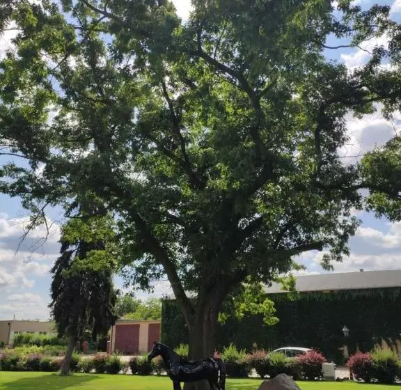 Hotelli Sandro Silver