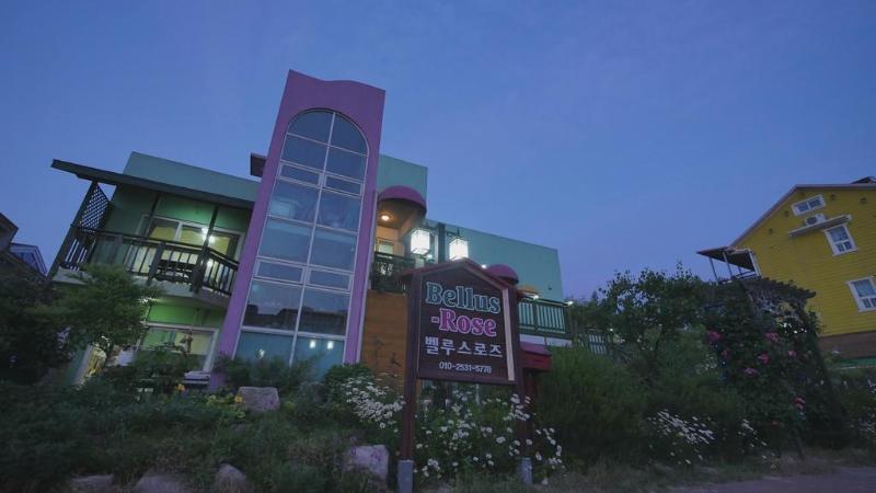 酒店 Bellus Rose Pension