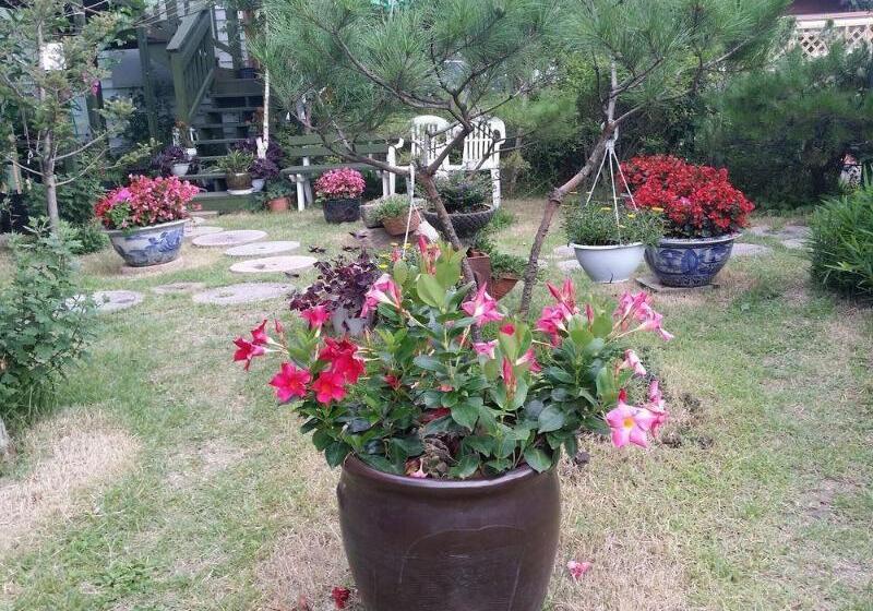 酒店 Bellus Rose Pension