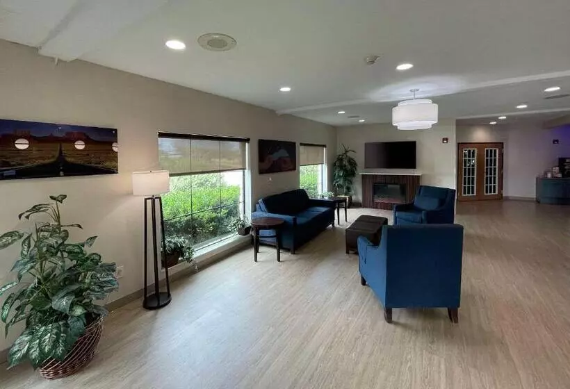 酒店 Comfort Suites Near Seaworld