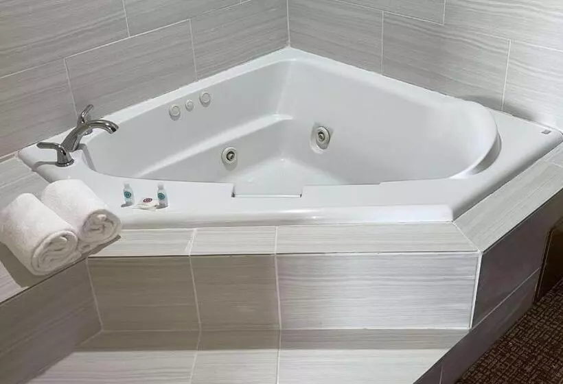 酒店 Comfort Suites Near Seaworld