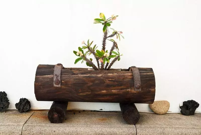 El Hotelito Del Golfo