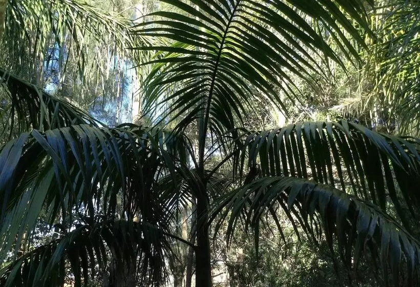 Mollymook Paradise Haven Motel