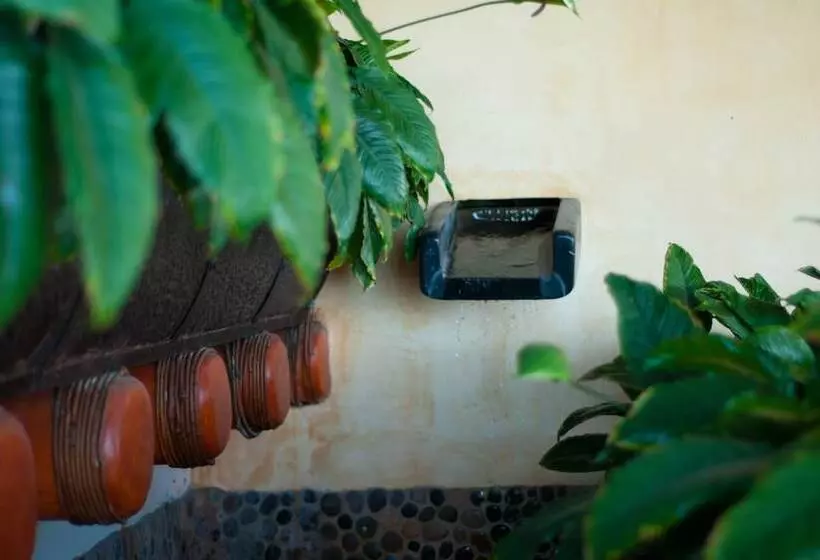 Tentaciones Hotel & Lounge Pool   Adults Only