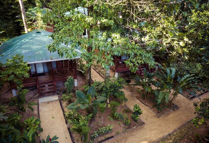 فندق Palmar Beach Lodge