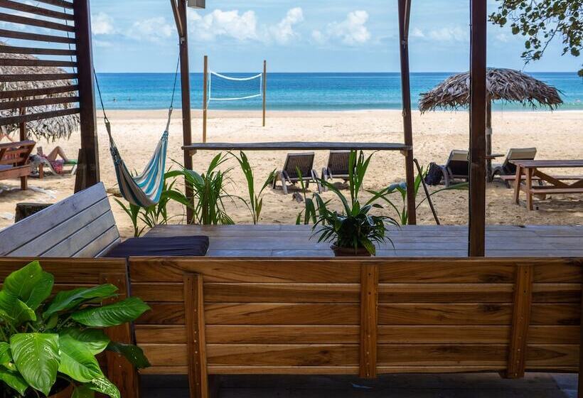 فندق Palmar Beach Lodge