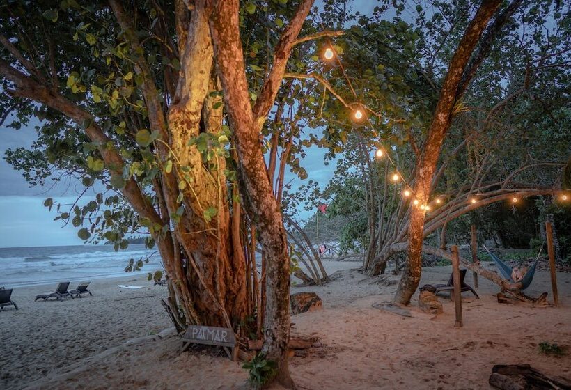 فندق Palmar Beach Lodge